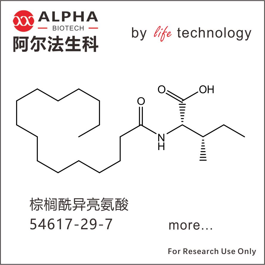 棕榈酰異亮氨酸